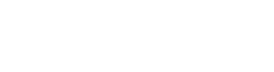 Designed Securities logo