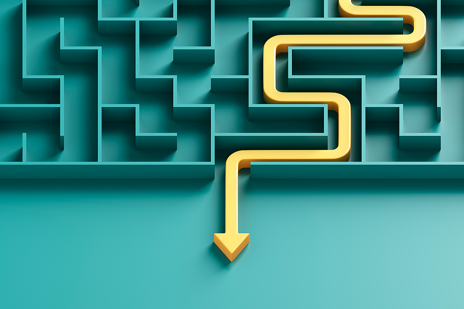 The 5 Ds of Exit Planning Maze