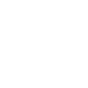 Securities